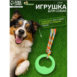 Игрушка жевательная с канатом «Гиря», зелёная