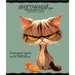Тетрадь 48л "ПРО ХВОСТ" по иностранному языку 48-2464 Проф-Пресс