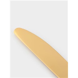 Ножи столовые Доляна «Голд», длина 22 см, набор 6 шт., нержавеющая сталь, золотистые