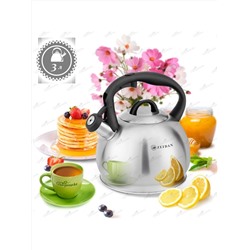 ZEIDAN Чайник Z-4481