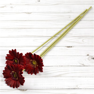 Цветок искусственный Гербера 43 см бордовый / 1501 /уп 56/560/ латэкс