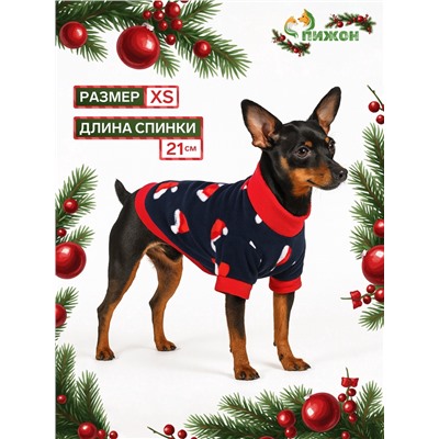 Толстовка для собак «Новогодний колпак», размер XS, синяя (ДС 21, ОШ 20, ОГ 30 см)