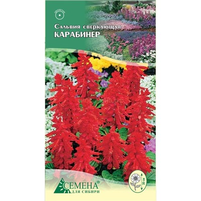 Сальвия Карабинер сверкающая, 0,05г (цв.)