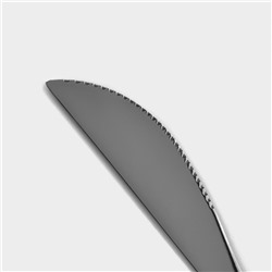 Набор ножей столовых Magistro «Блинк», длина 22.4 см, набор 6 шт., нержавеющая сталь, серебристый