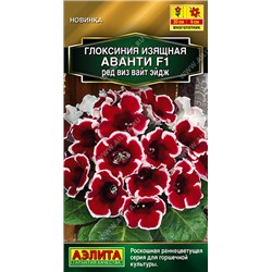 Глоксиния Аванти Ред Виз Вайт Эйдж F1 (Код: 93550)