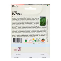 Семена Укроп «Кибрай», XXXL, «Сембат», 20 г