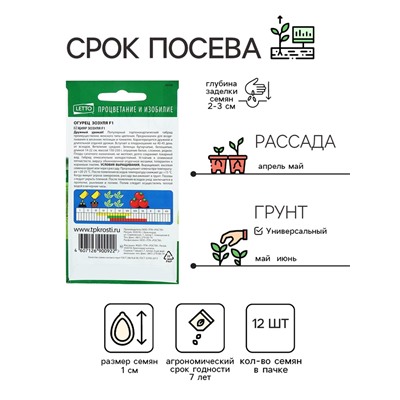 Семена Огурец Зозуля F1, партенокарпический, раннеспелый, 12 шт