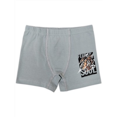 3390 Боксеры для мальчика многоцвет (BAYKAR)