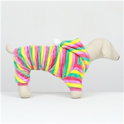 Комбинезон «Радуга» с капюшоном, размер 2XL (ДС 45 см, ОШ 45 см, ОГ 55 см)