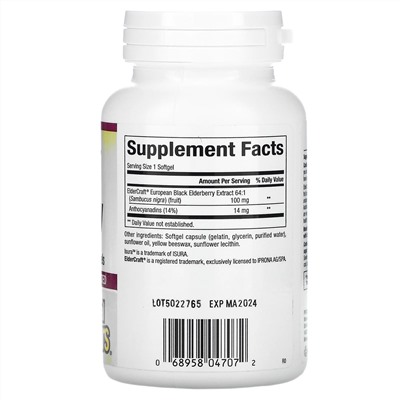 Natural Factors, Black Elderberry, 100 mg, 120 Capsules