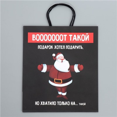 Пакет подарочный новогодний крафтовый «Тебе», 28×32×15 см