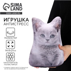 Антистресс игрушка «Котёнок серый»