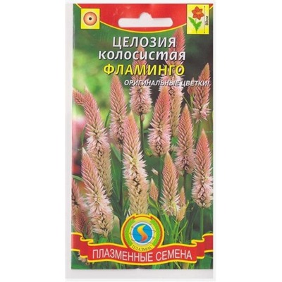 Целозия колосистая Фламинго (Код: 76150)
