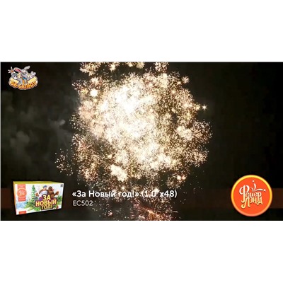 Фейерверк ЕС502 За Новый Год! (1" х 48)