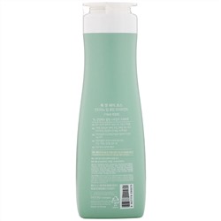 Doori Cosmetics, Look At Hair Loss, Minticcino, охлаждающий кондиционер для волос, 500 мл