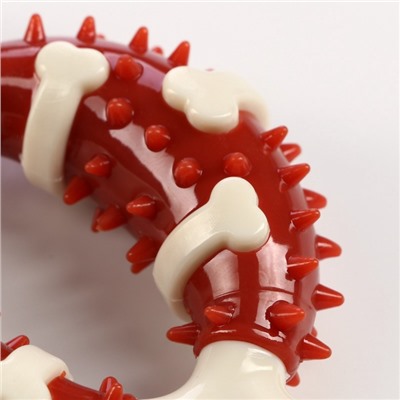 Игрушка для собак «Кость» Пижон Premium, 12.5 см, TPR+нейлон