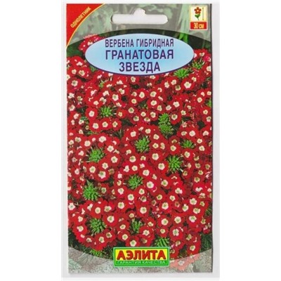 Вербена гибридная Гранатовая звезда (Код: 6595)