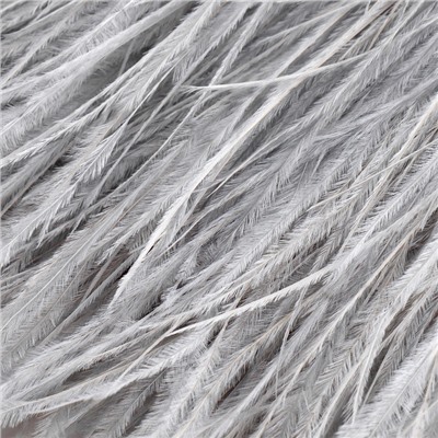 Тесьма с перьями страуса, 8-10 см, 5±0.5 м, светло-серая