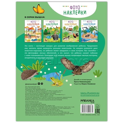 Фотонаклейки. В лесу