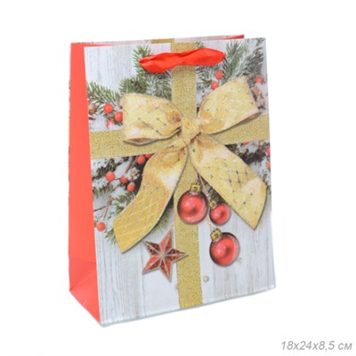 Пакет подарочный 18х24х8.5 / 362-92-S /уп 12/720/Новый год
