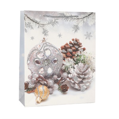 Пакет подарочный 18х24х8,5 / 107-1S /уп 12/720/Новый год