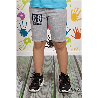 Шорты М21736Пж