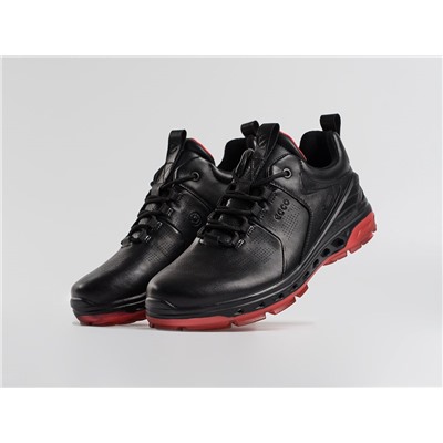 Кроссовки Ecco Biom