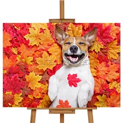 Набор для рисования "Картина по номерам 30х20 см. Щенок в листве"