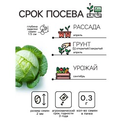 Семена Капуста белокочанная "Белорусская 455", 0,3 г