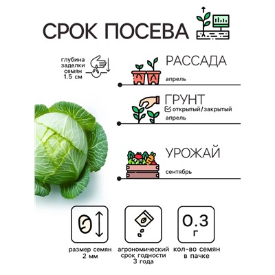 Семена Капуста белокочанная "Белорусская 455", 0,3 г
