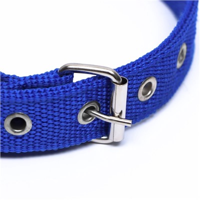 Ошейник двухслойный с вертлюгом, 55×2.5 см, полиэстер, синий