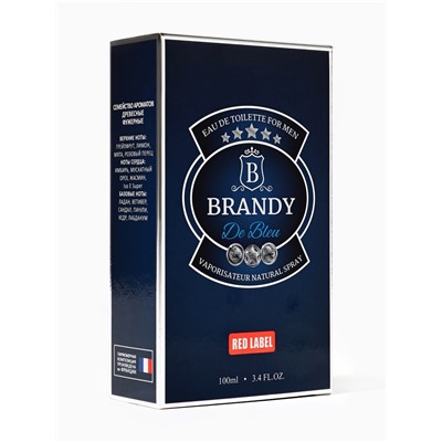 Туалетная вода мужская Brandy De Bleu, 100 мл