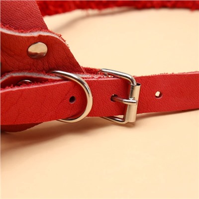 Намордник регулируемый из мягкой кожи, размер № 5, ДН 7-11 см, ОМ 25-28 см, коричневый