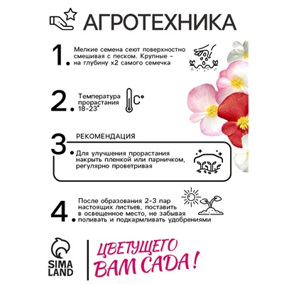 Семена  цветов Бегония вечноцветущая "Сенатор F1", смесь, О, 10 шт