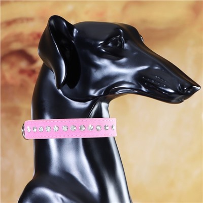 Ошейник «Бархат и стразы», 31×1.3/2 см, ОШ 22-28 см, розовый