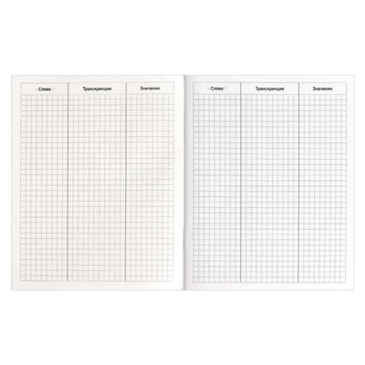 Тетрадь-словарик для записи иностр. слов А5+ 48л "КРЯКАЮЩИЕ УТКИ" клетка 69367 Феникс