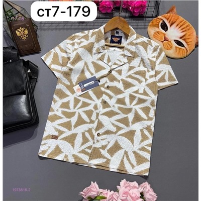 рубашка 1978816-2