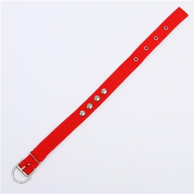 Ошейник для животных