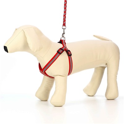 Шлейка с поводком «Плетенка», ОГ 32-48×1.5 с, поводок 115×1 см, флуоресцентная, красная