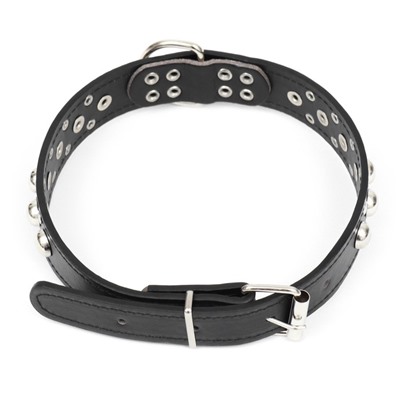 Ошейник «Сириус», 56×3 см, ОШ 42-52, с заклёпками, искусственная кожа, чёрный