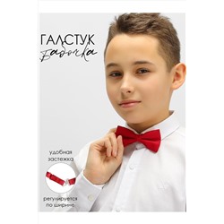 Бабочка СОЛЬ&ПЕРЕЦ, 972256