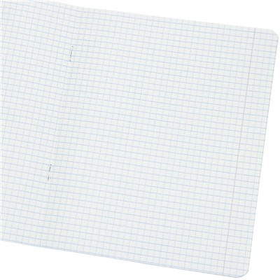 Тетрадь А5 24 л клетка КФОБ "Великолепная 5"