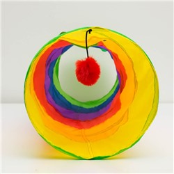 Туннель для кошек с игрушкой, 120×25 см, разноцветный