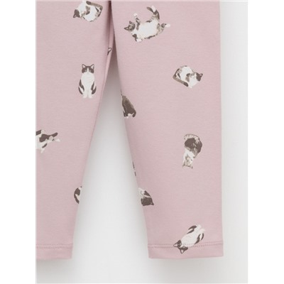 CROCKID Лосины КР 4321