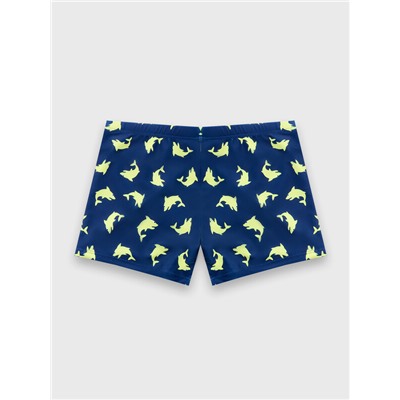 ТРУСЫ КУПАЛЬНЫЕ ДЛЯ МАЛЬЧИКОВ 703363