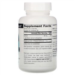 Source Naturals, Mastic Gum Extract, 500 mg, 60 Capsules