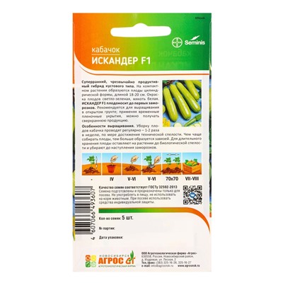 Семена Кабачок "Искандер" F1 5 шт