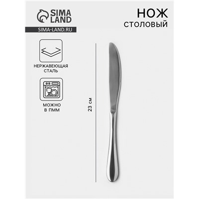 Нож столовый из нержавеющей стали, длина 23 см, серебристый