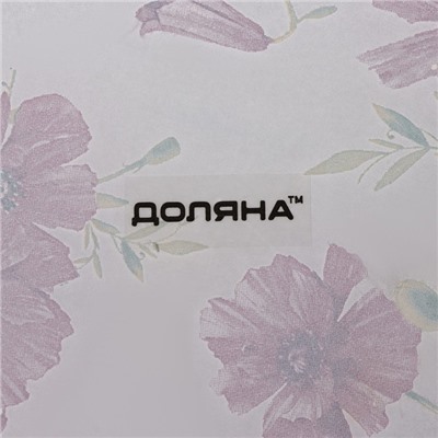 Блюдо сервировочное стеклянное Доляна «Красные маки», овальное, 24,5×15×1,7 см