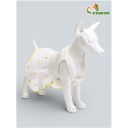 Сарафан для животных «Ромашка», размер L, ДС 35, ОГ 45 см, белый